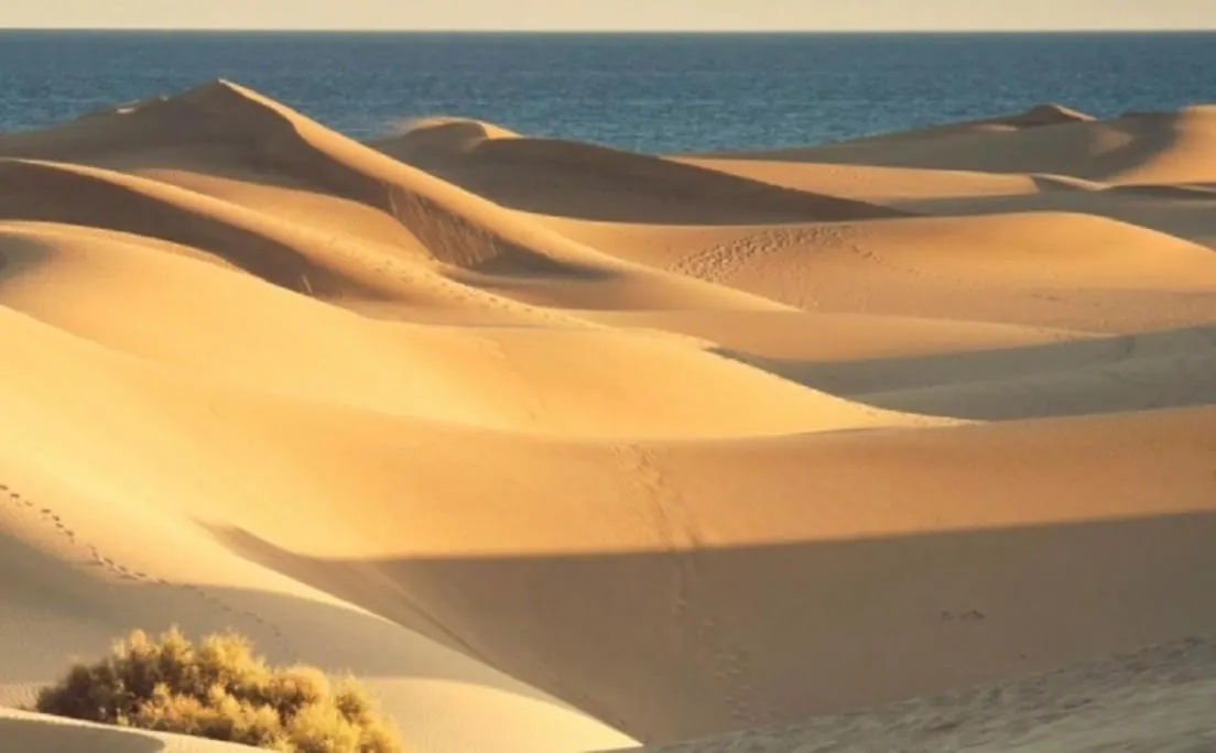 Sueños Canarios Corralejo 0*,